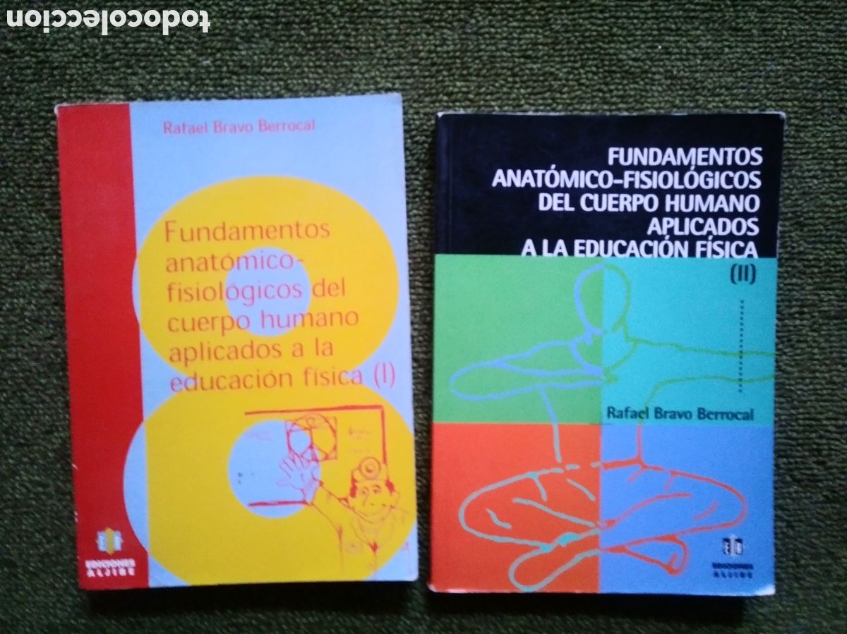 Libri di seconda mano: Fundamentos anat&oacute;mico-fisiol&oacute;gicos del cuerpo humano aplicados a la educaci&oacute;n f&iacute;sica, Bravo Berrocal