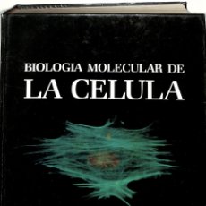 Libros de segunda mano: BIOLOGIA MOLECULAR DE LA CELULA - BRUCE DENNIS/ALBERTS BRAY - EDICIONES OMEGA - FUERA DE CATALOGO. Lote 365249861