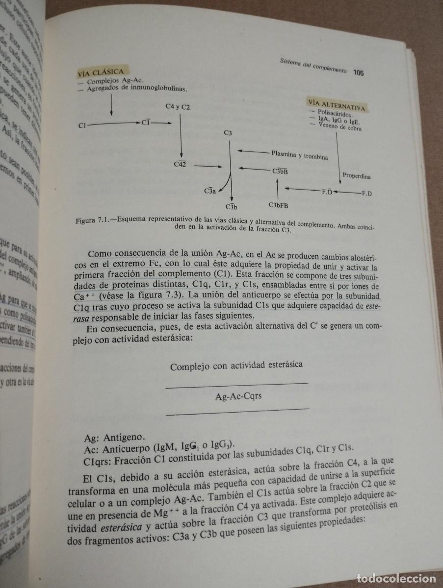 Libros de segunda mano: INMUNOLOG&Iacute;A (JOS&Eacute; PE&Ntilde;A MART&Iacute;NEZ) - Foto 12