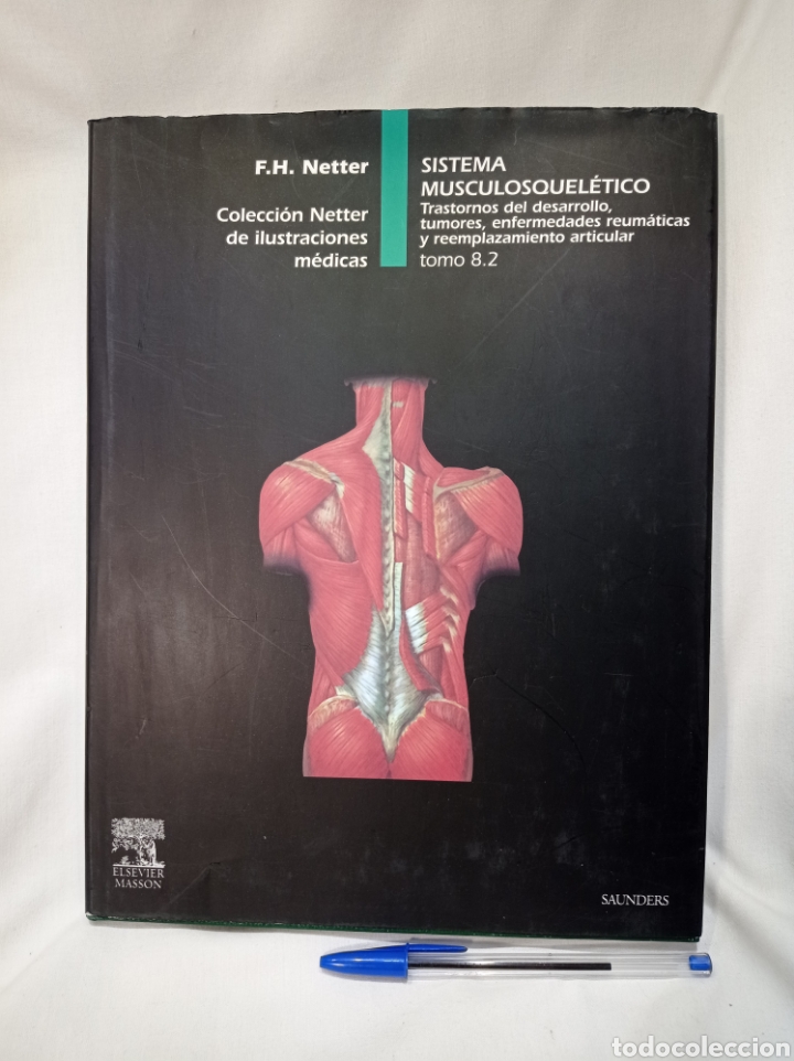 netter. sistema músculoesquelético trastornos d - Compra venta en ...