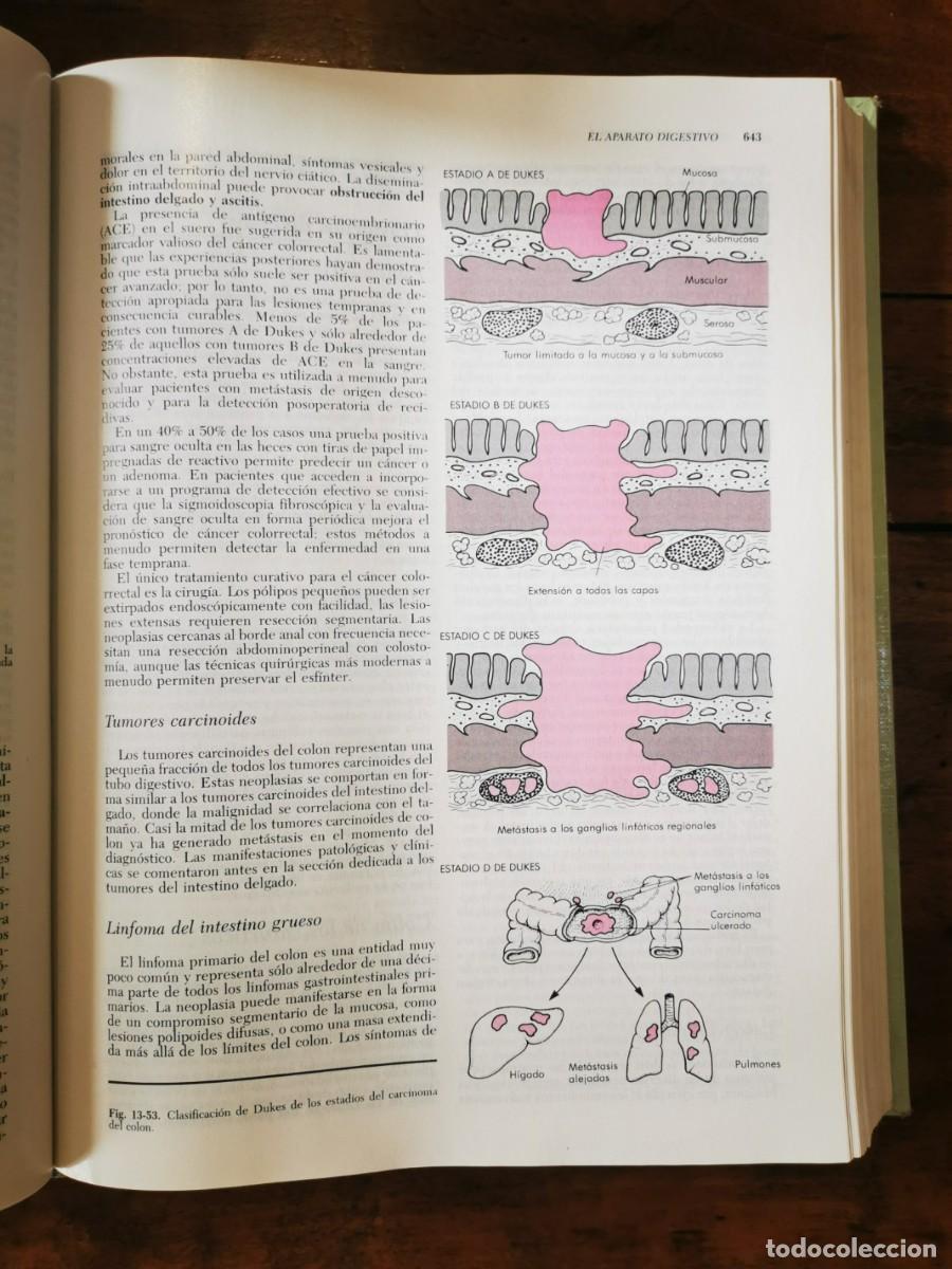 Libros de segunda mano: RUBIN, Emanuel. Patolog&iacute;a - Foto 4