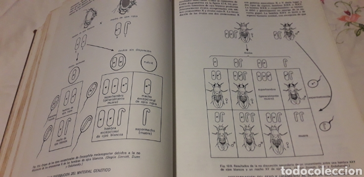 Libros de segunda mano: GEN&Eacute;TICA, MONROE W. STRICKBERGER, - Foto 8