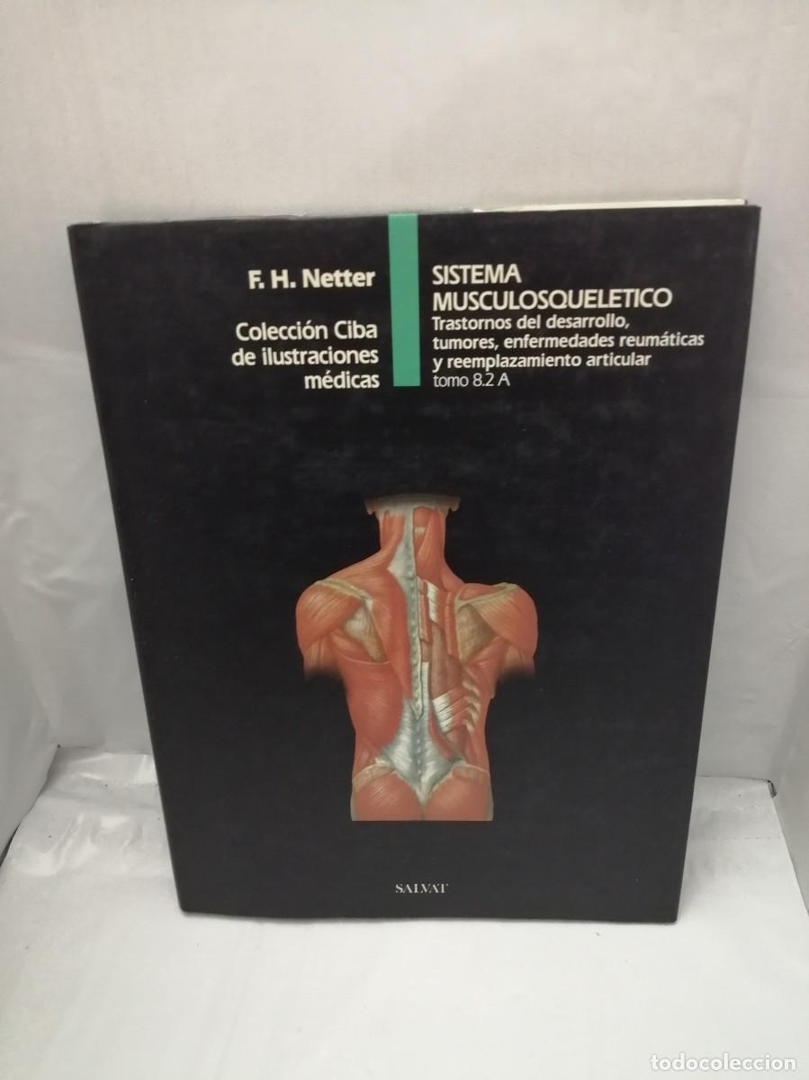 Second hand books: COLECCI&Oacute;N CIBA DE ILUSTRACIONES M&Eacute;DICAS: SISTEMA MUSCULOSQUEL&Eacute;TICO, TOMO 8.2 A