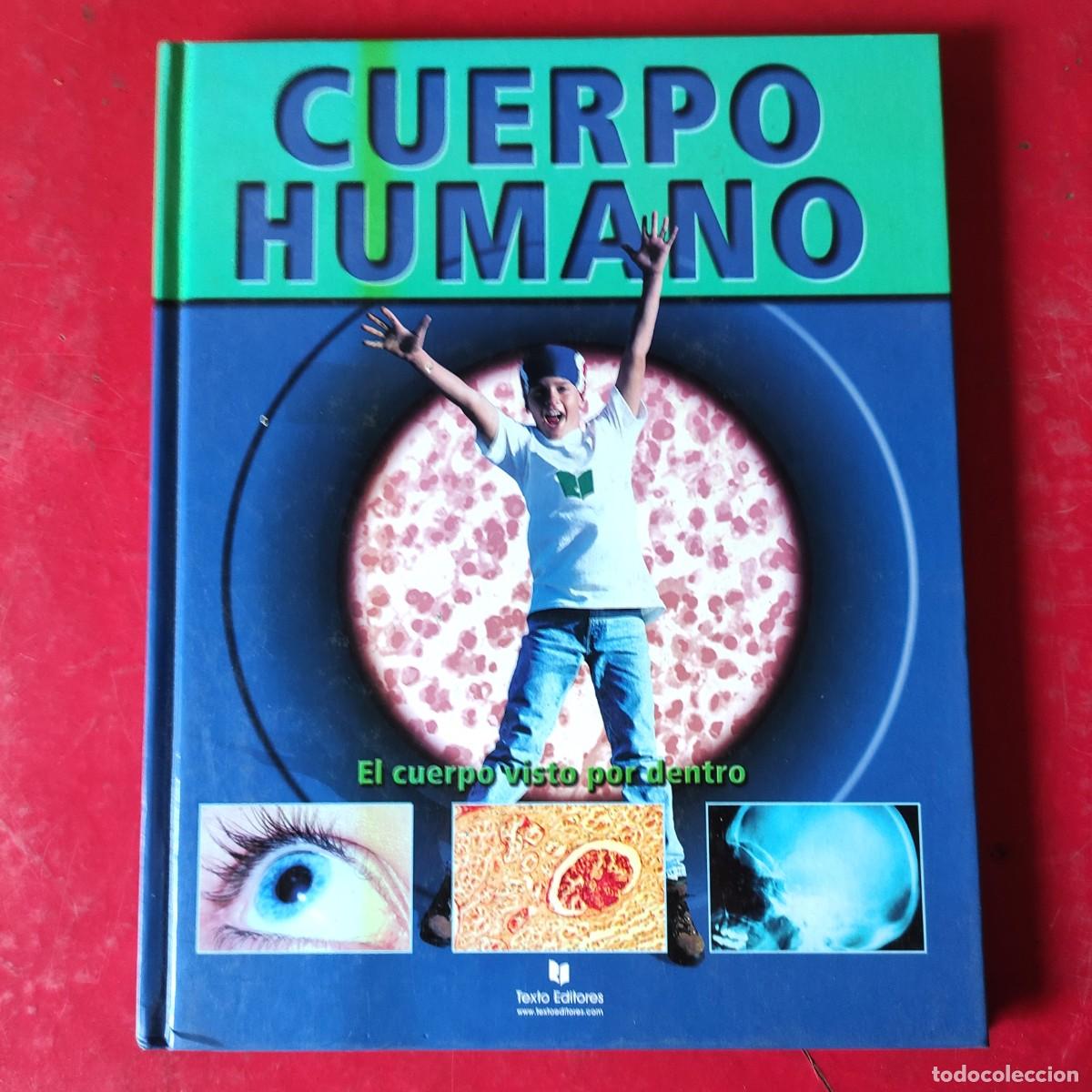 Libros de segunda mano: EL CUERPO HUMANO * EL CUERPO VISTO POR DENTRO* * 80 PAGINAS . TAPA DURA