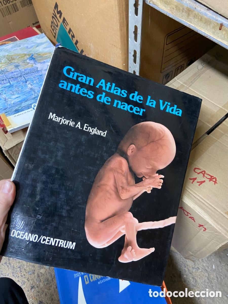 Livres d'occasion: Caja11 Gran Atlas de la Vida antes de nacer Mariorie A. England
