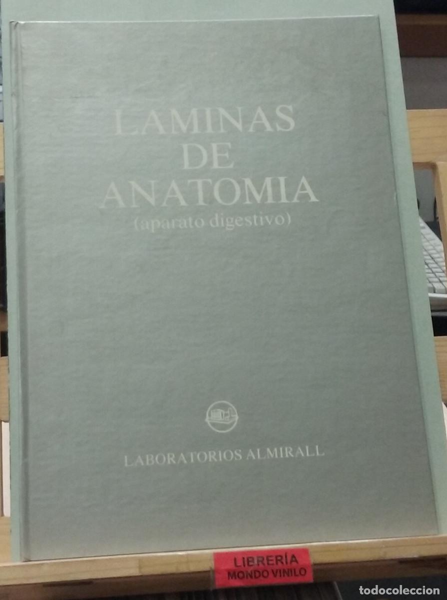 Libros de segunda mano: L&aacute;minas de anatom&iacute;a (aparato digestivo) - Foto 1