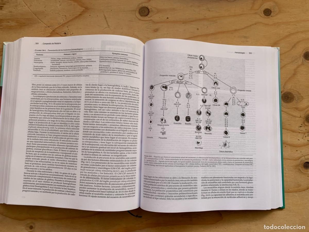 Libros de segunda mano: Compendio de Pediatr&iacute;a - Foto 5