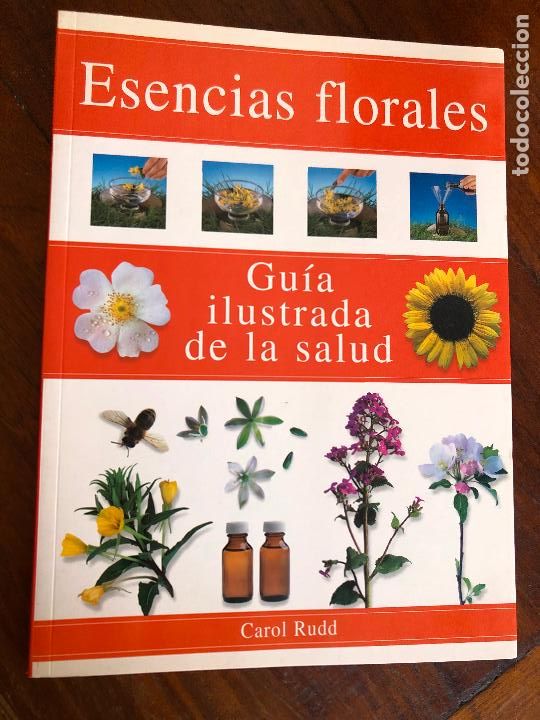 Libros de segunda mano: ESENCIAS FLORALES GU&Iacute;A ILUSTRADA DE LA SALUD CAROL RUDD