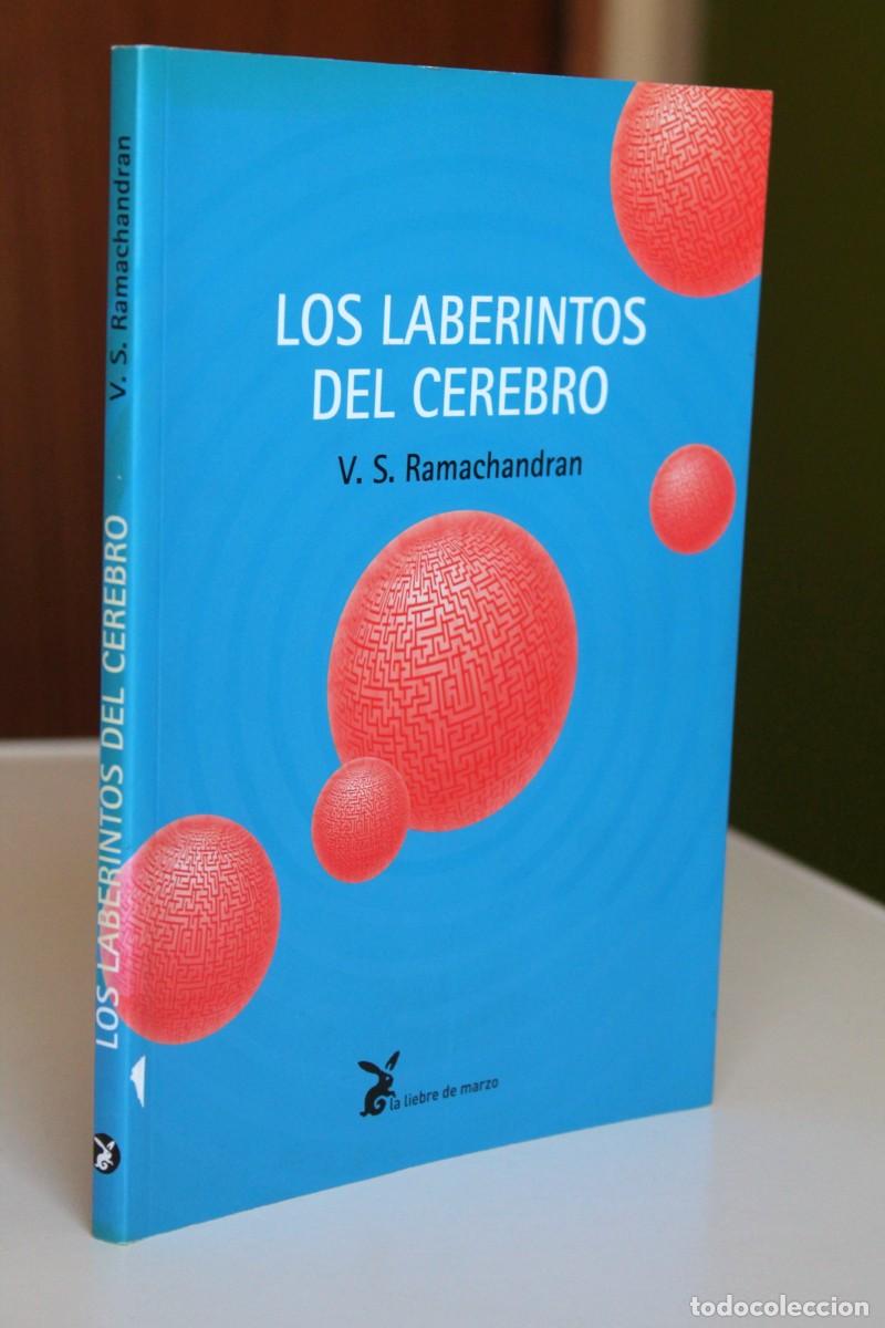 Libri di seconda mano: V.S. Ramachandran - Los laberintos del cerebro - La liebre de marzo