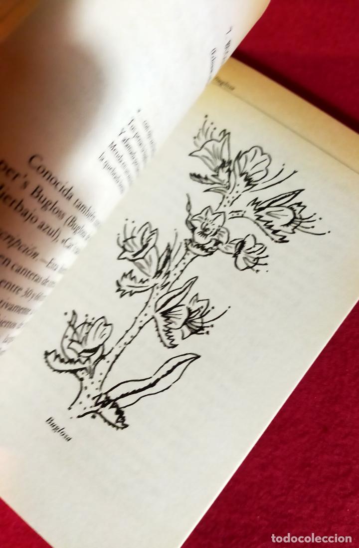 Libros de segunda mano: HIERBAS PARA TRANQUILIZAR LOS NERVIOS - Foto 4