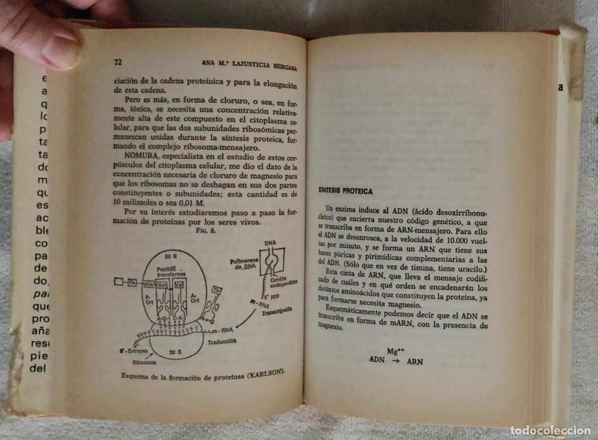 Libros de segunda mano: EL MAGNESIO. - Foto 5