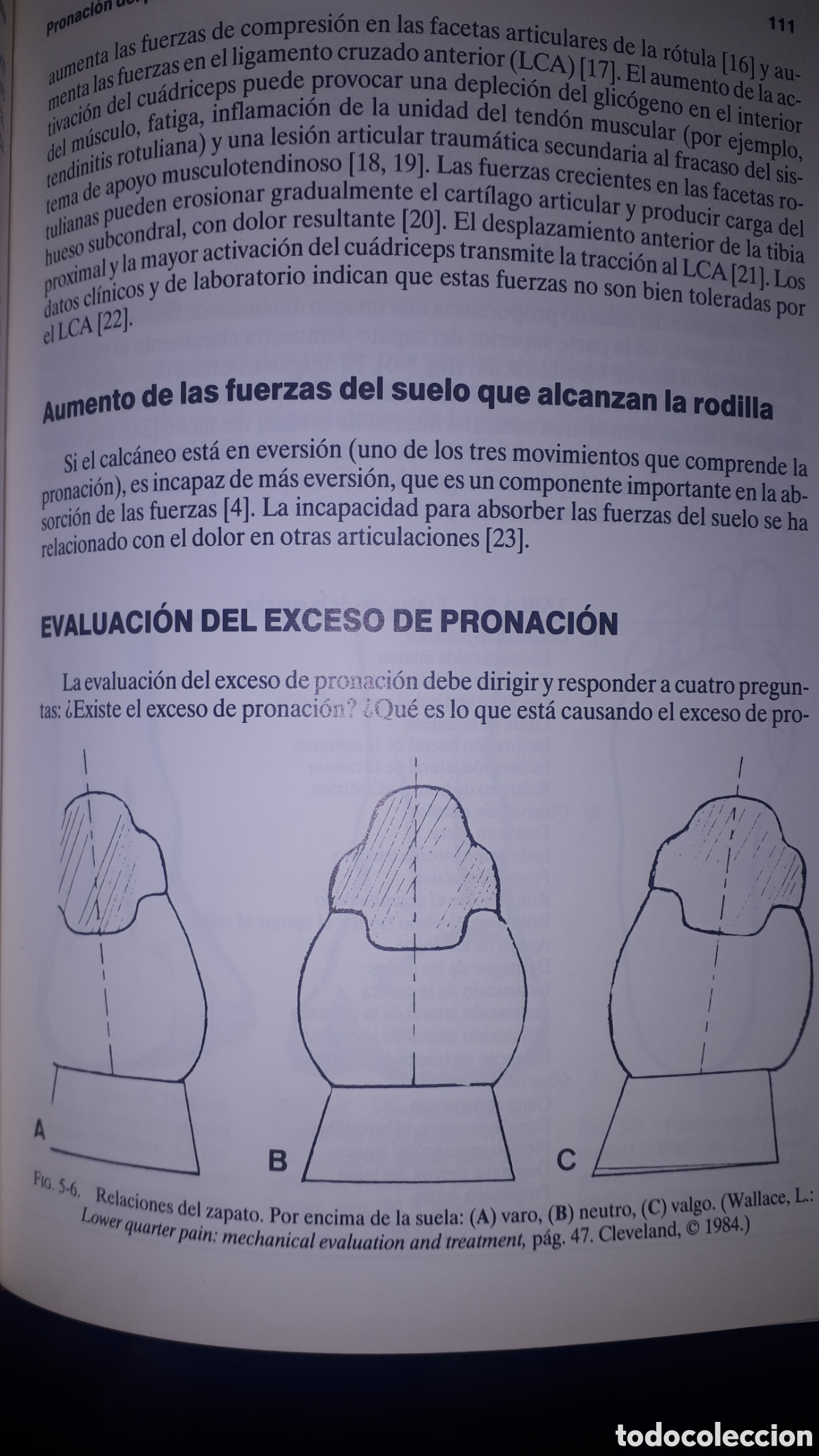 Libros de segunda mano: FISIOTERAPIA DE LA RODILLA ROBERT E. MANGINE - Foto 3