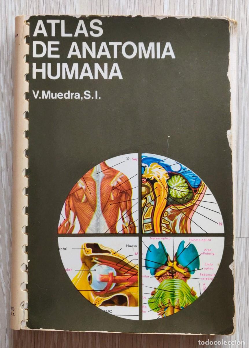 Libros de segunda mano: Atlas de Anatomia. - Foto 1
