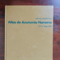 Libros de segunda mano: ATLAS DE ANATOMIA HUMANA. WERNER SPALTEHOLZ. TOMO 2. Lote 398749079