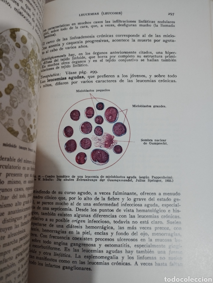 Libros de segunda mano: MANUAL PR&Aacute;CTICO DE MEDICINA INTERNA (DR. A. VON DOMARUS) - Foto 8