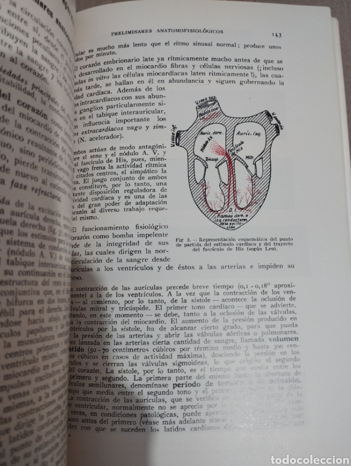 Libros de segunda mano: MANUAL PR&Aacute;CTICO DE MEDICINA INTERNA (DR. A. VON DOMARUS) - Foto 9