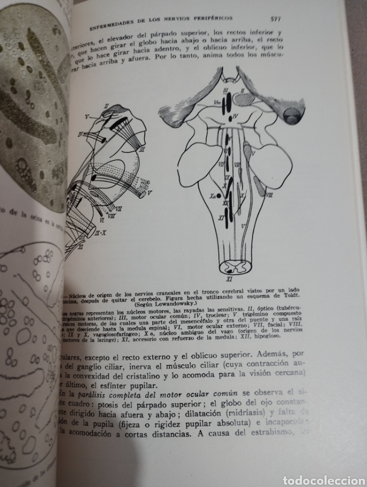 Libros de segunda mano: MANUAL PR&Aacute;CTICO DE MEDICINA INTERNA (DR. A. VON DOMARUS) - Foto 10