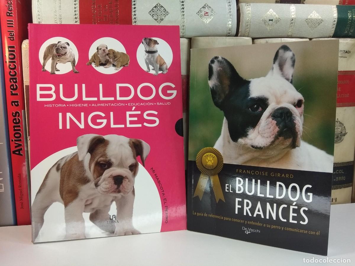 Second hand books: BULLDOG INGL&Eacute;S. Historia, Higiene, alimentaci&oacute;n, educ / EL BULLDOG FRANC&Eacute;S. La gu&iacute;a de referencia