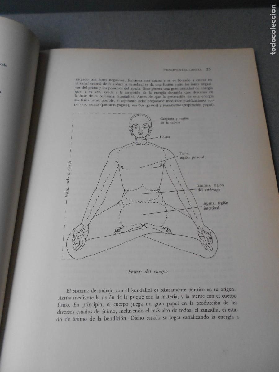 Libros de segunda mano: LOS CHAKRAS - Foto 5