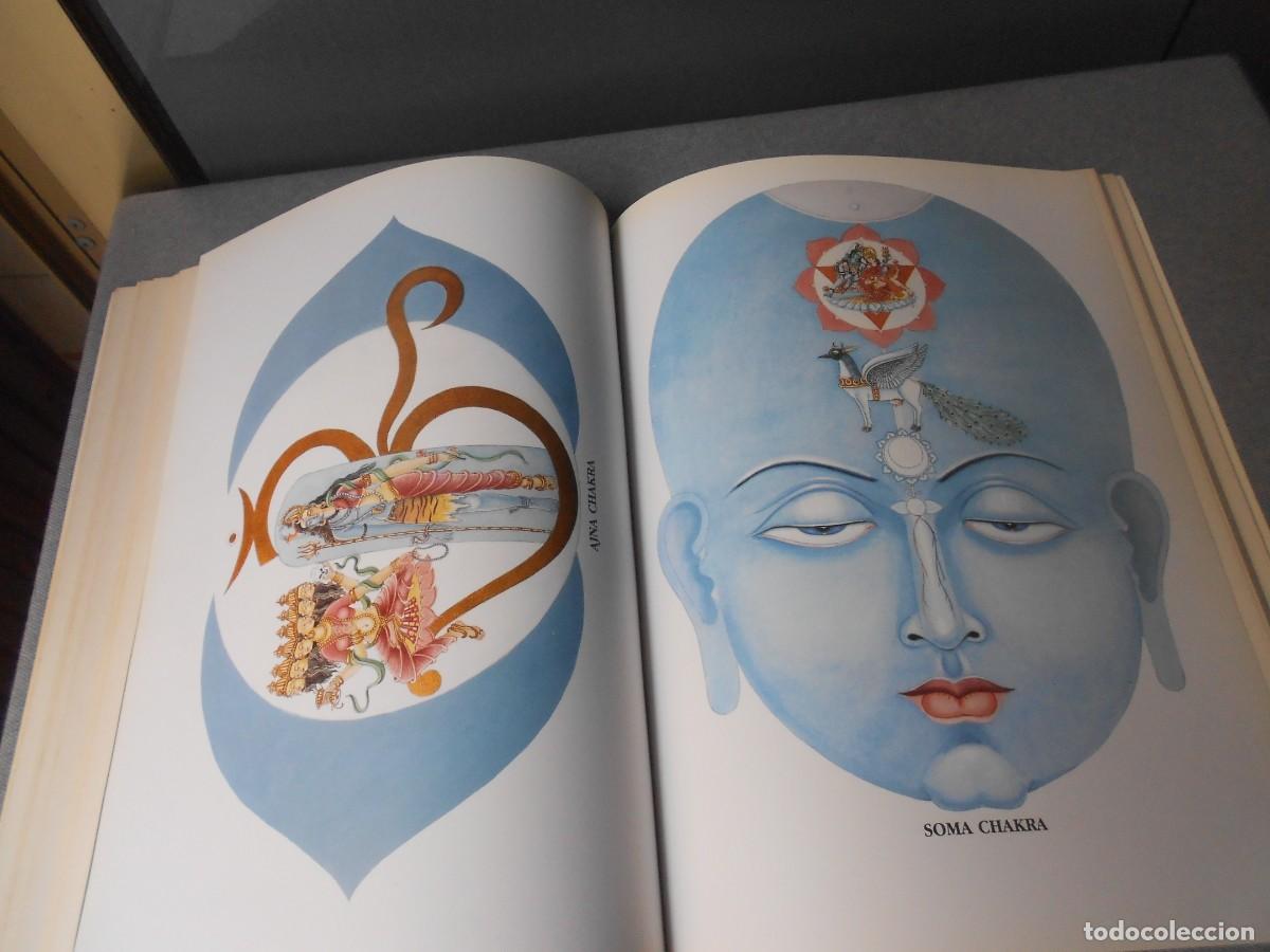 Libros de segunda mano: LOS CHAKRAS - Foto 11