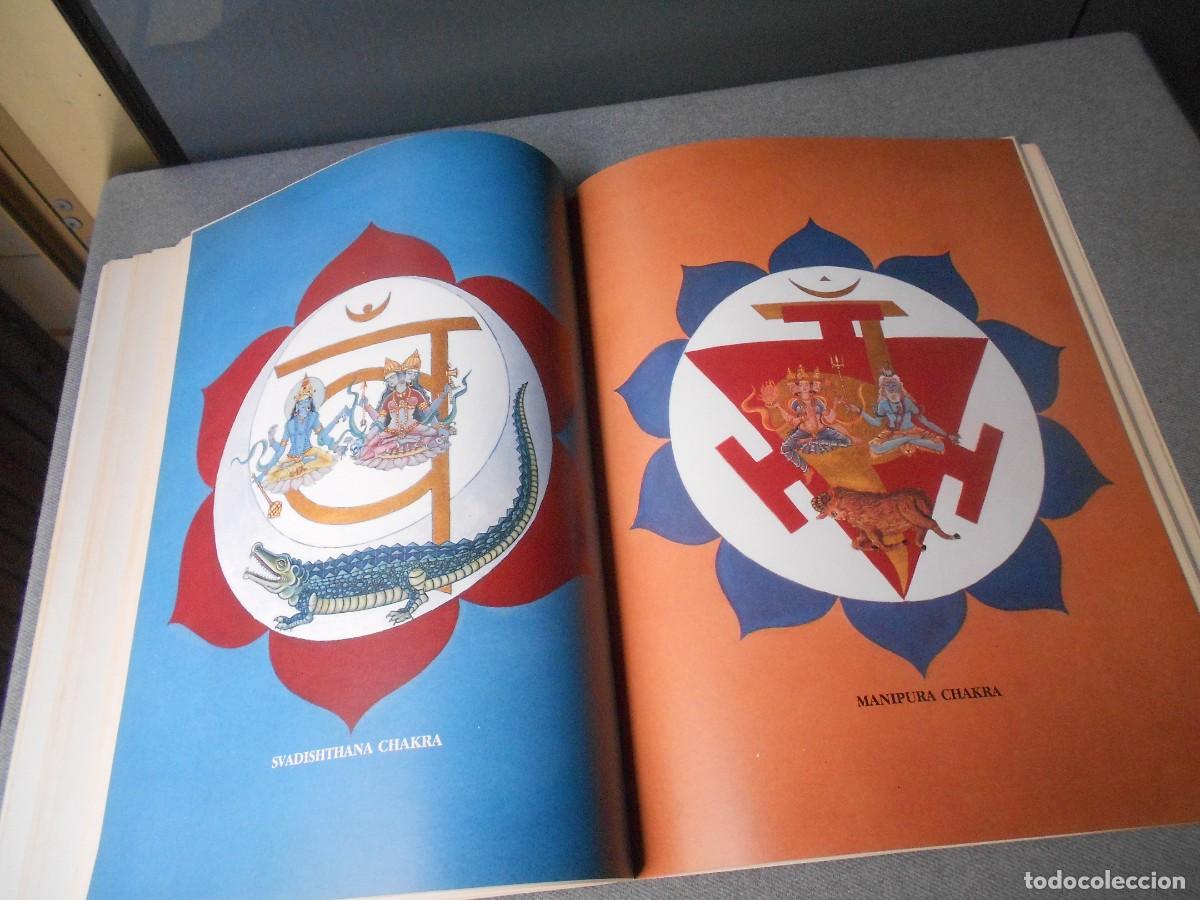 Libros de segunda mano: LOS CHAKRAS - Foto 13