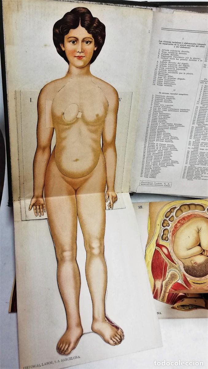 Libros de segunda mano: EL M&Eacute;DICO EN CASA. 1925 2 TOMOS (1&ordf; edici&oacute;n) - Foto 2