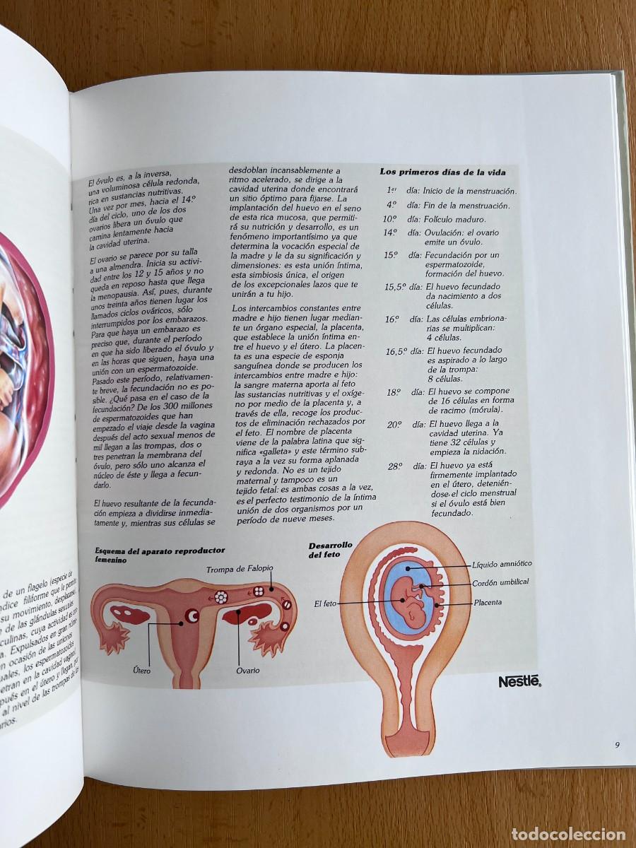 Libros de segunda mano: VAS A SER MADRE - NESTLE 1987 - Foto 5