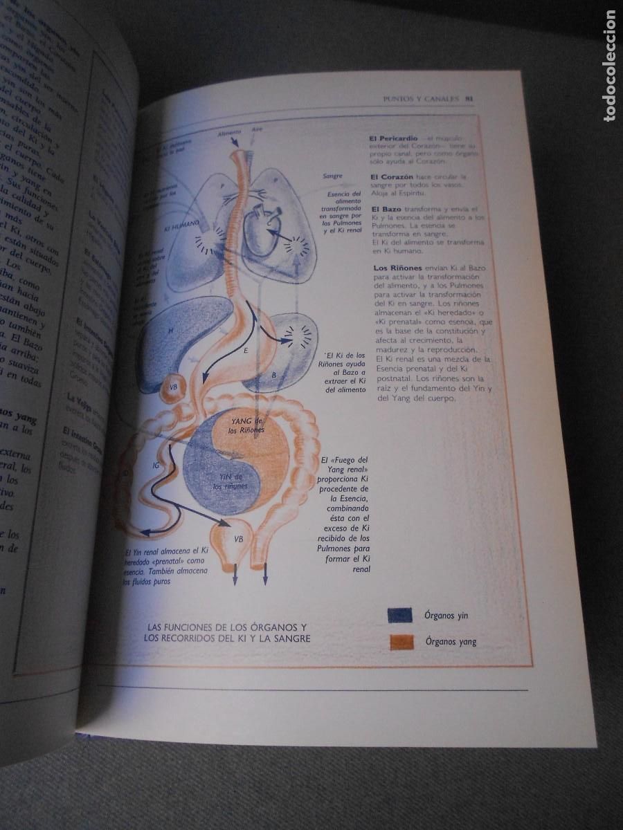 Libros de segunda mano: EL LIBRO DEL SHIATSU - Foto 3