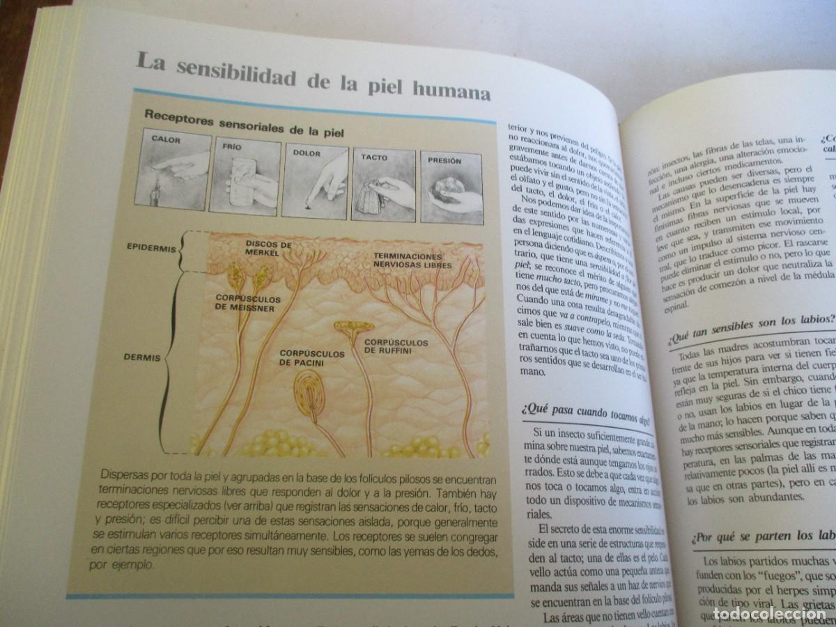 Libros de segunda mano: ABC DEL CUERPO HUMANO W19956 - Foto 17