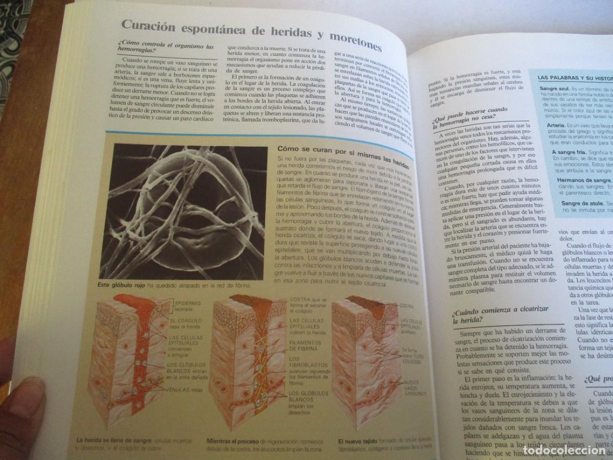 Libros de segunda mano: ABC DEL CUERPO HUMANO W19956 - Foto 18