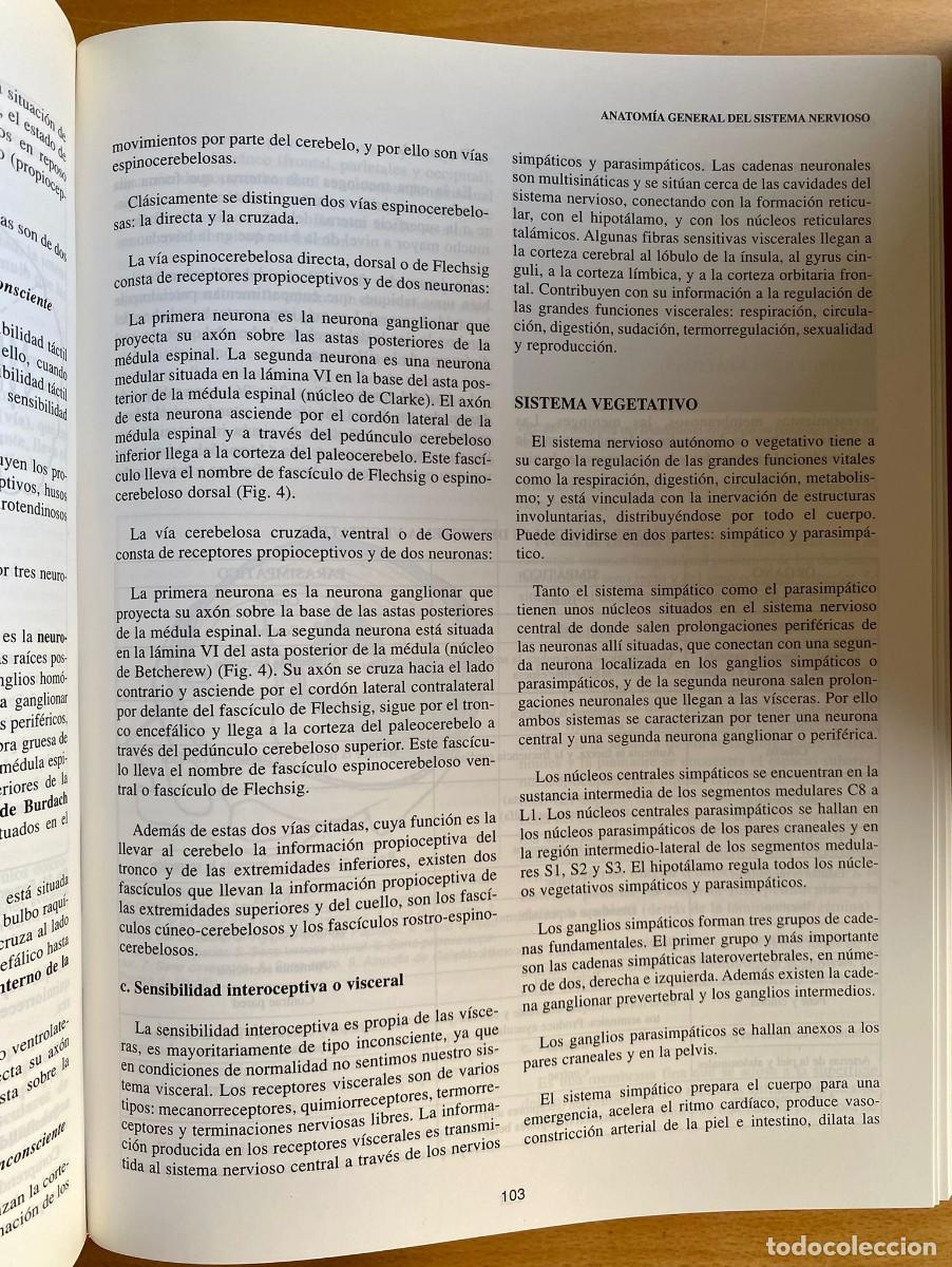 Libros de segunda mano: Tratado de Odontolog&iacute;a, 4 tomos - Foto 3