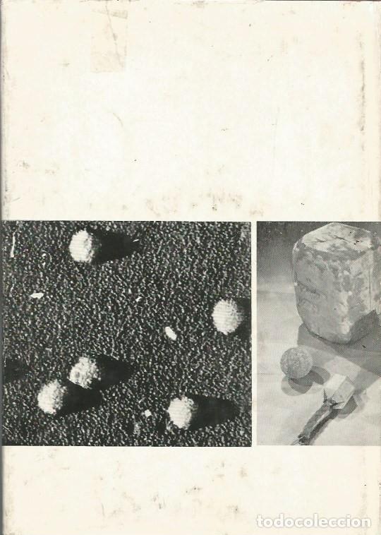 Libros de segunda mano: CAZADORES DE VIRUS-GREER WILLIAMS - Foto 2