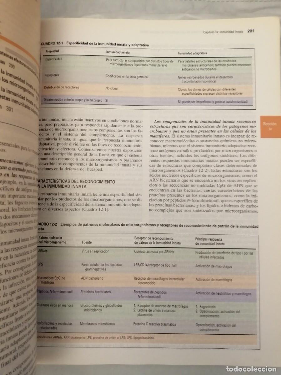 Libros de segunda mano: INMUNOLOG&Iacute;A CELULAR Y MOLECULAR (Cuarta edici&oacute;n) - Foto 4