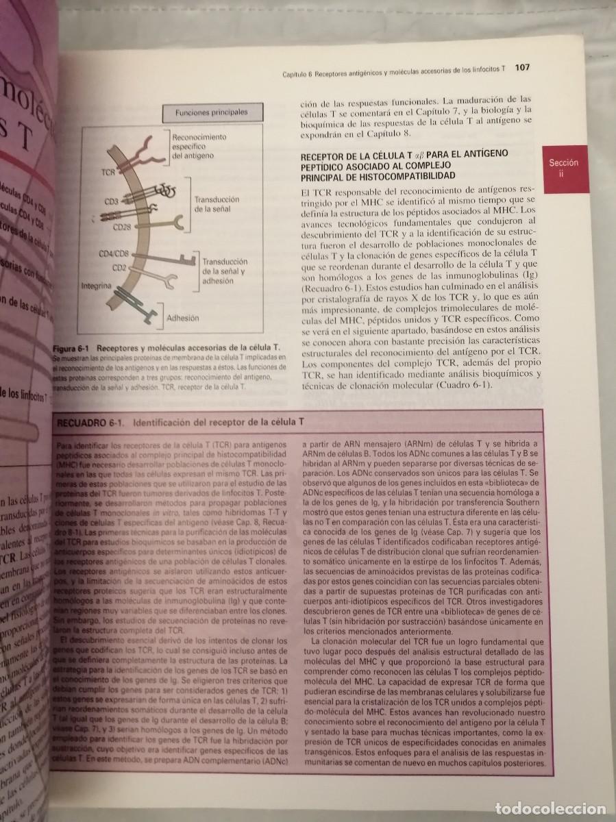 Libros de segunda mano: INMUNOLOG&Iacute;A CELULAR Y MOLECULAR (Cuarta edici&oacute;n) - Foto 6