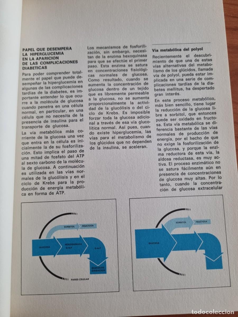 Libros de segunda mano: IMPLICACIONES DE LA HIPERGLUCEMIA. ED: PFIZER. 1972 - Foto 5