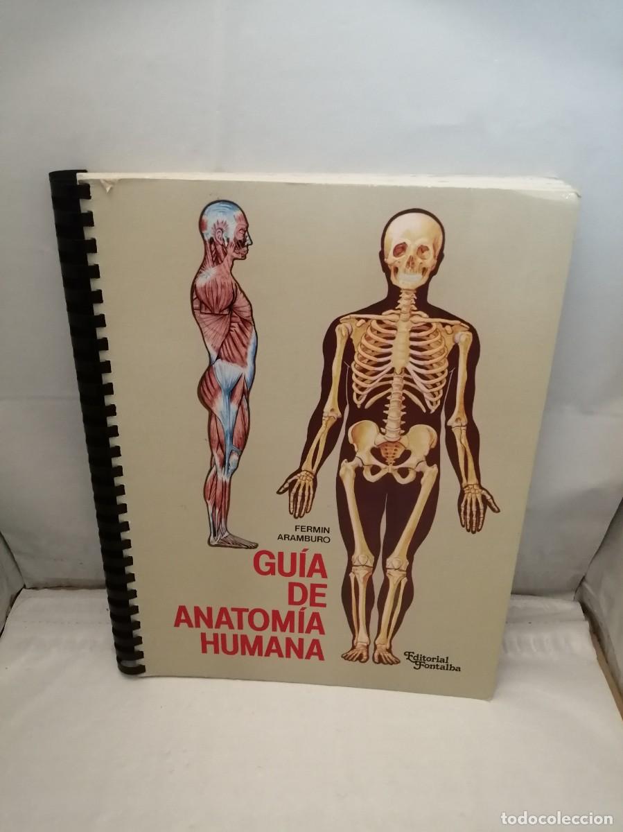 Second hand books: GU&Iacute;A DE ANATOM&Iacute;A HUMANA (Sin subrayados ni anotaciones)