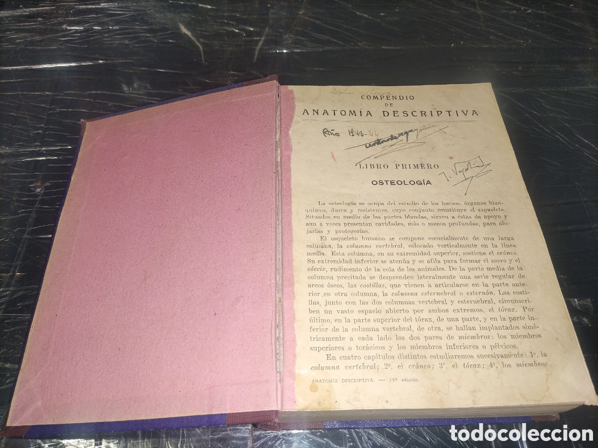 Libros de segunda mano: Compendio de Anatom&iacute;a Descriptiva. - Foto 2