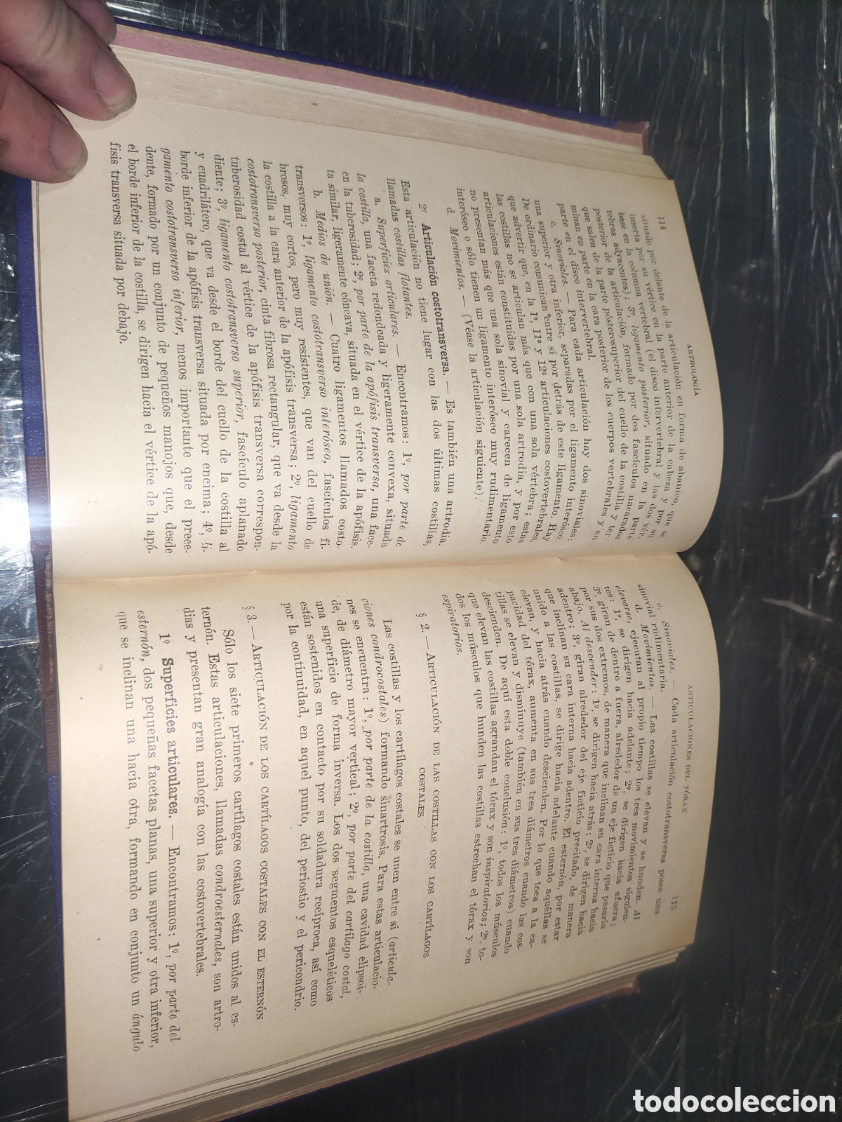 Libros de segunda mano: Compendio de Anatom&iacute;a Descriptiva. - Foto 3