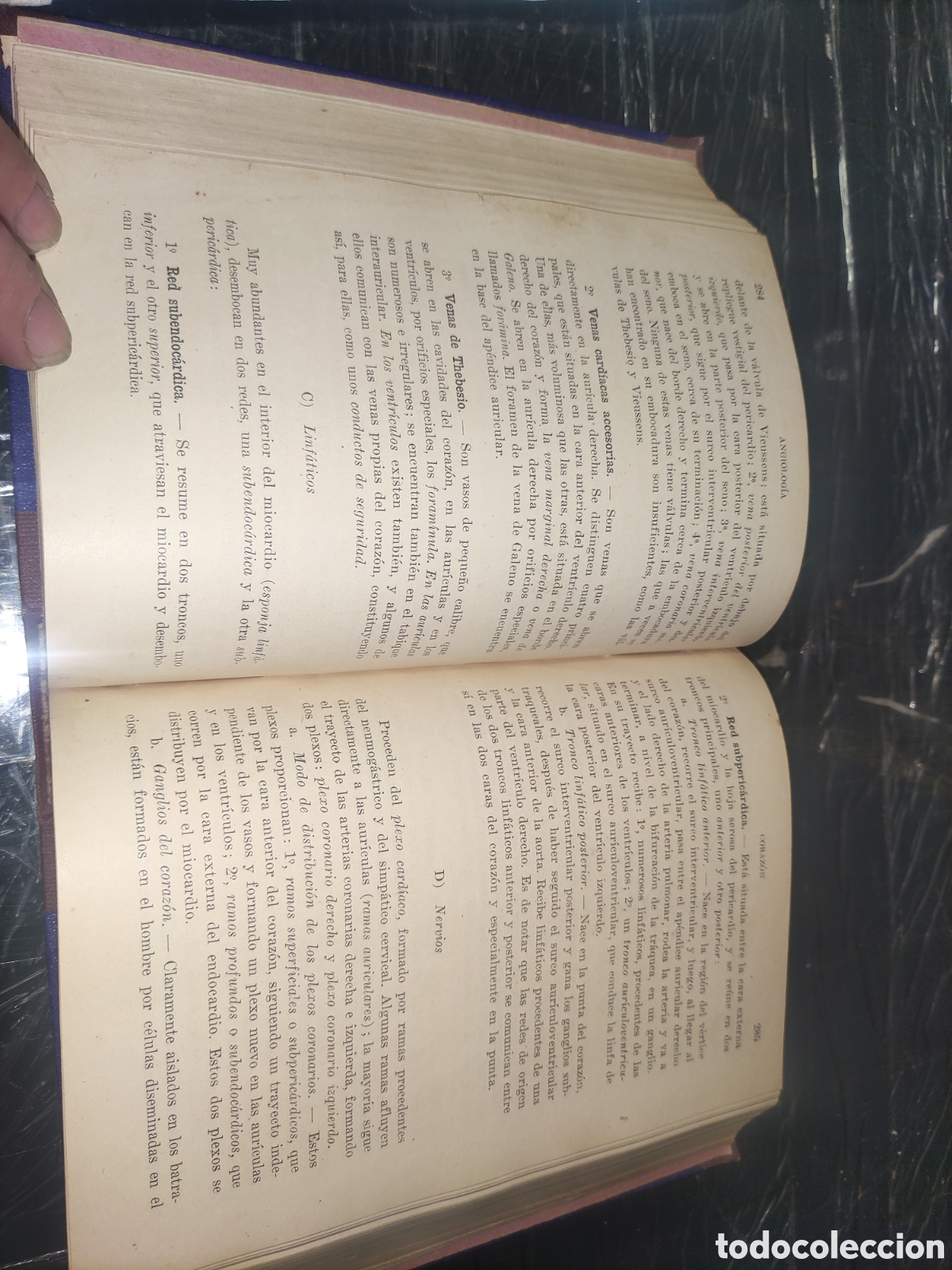 Libros de segunda mano: Compendio de Anatom&iacute;a Descriptiva. - Foto 4