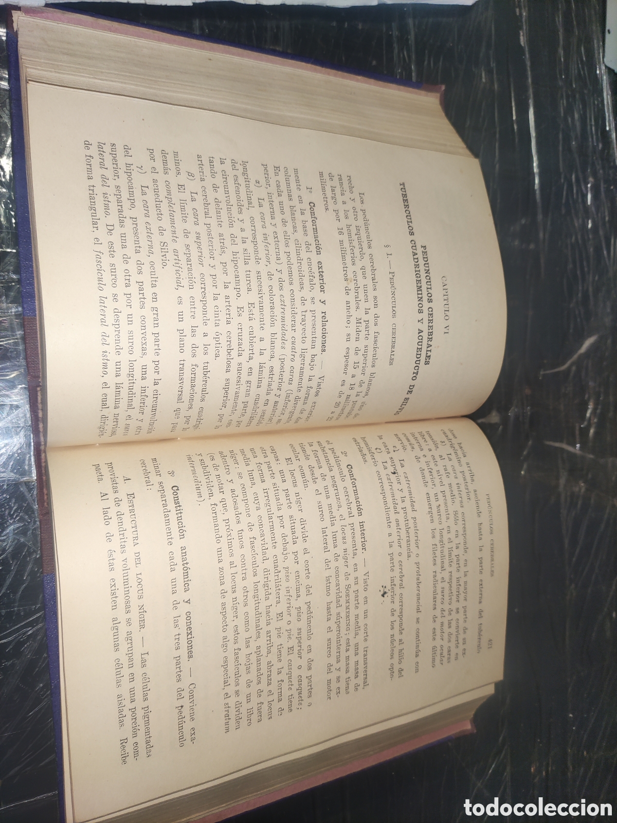Libros de segunda mano: Compendio de Anatom&iacute;a Descriptiva. - Foto 5