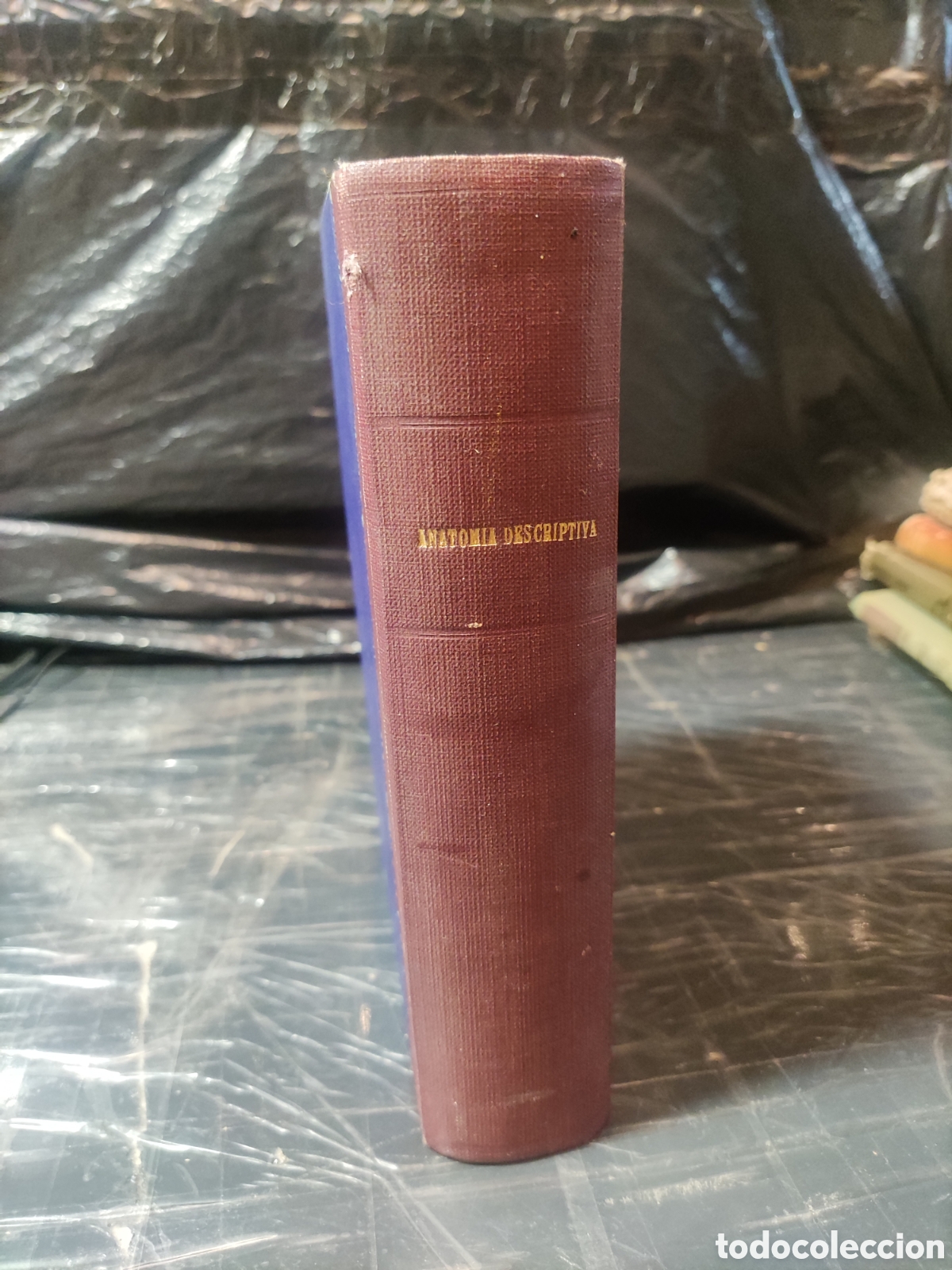 Libros de segunda mano: Compendio de Anatom&iacute;a Descriptiva. - Foto 18