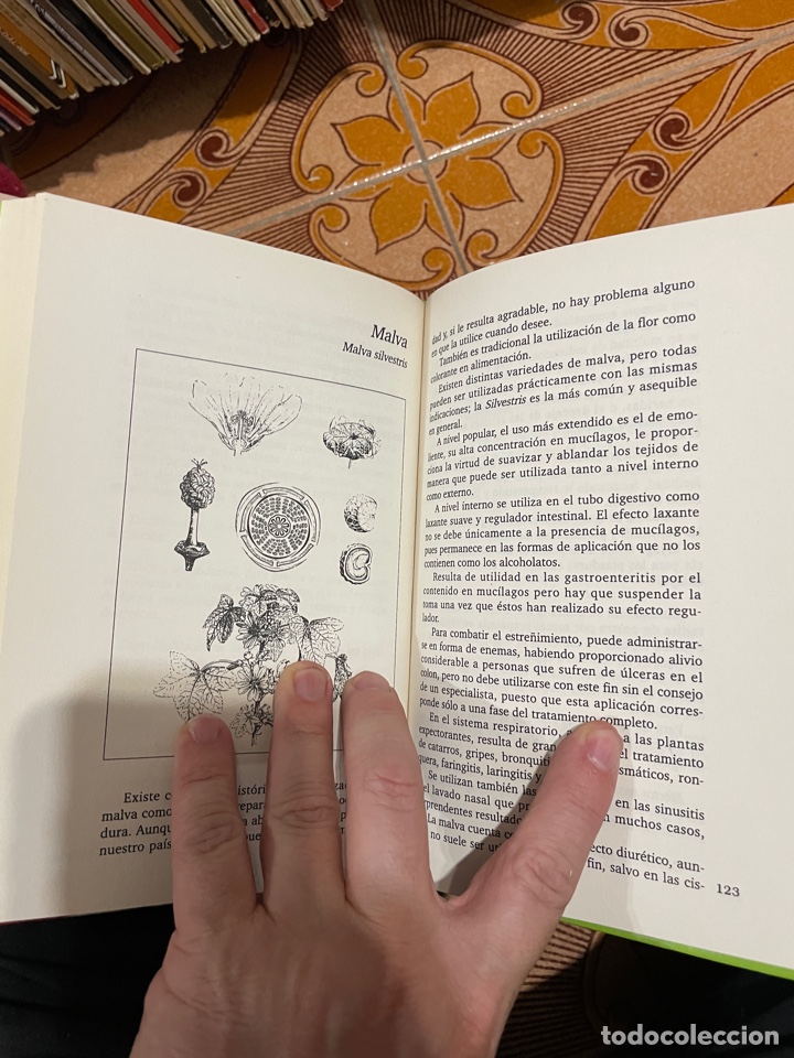 Libros de segunda mano: Plantas medicinales (Alfredo Ara) - Foto 3