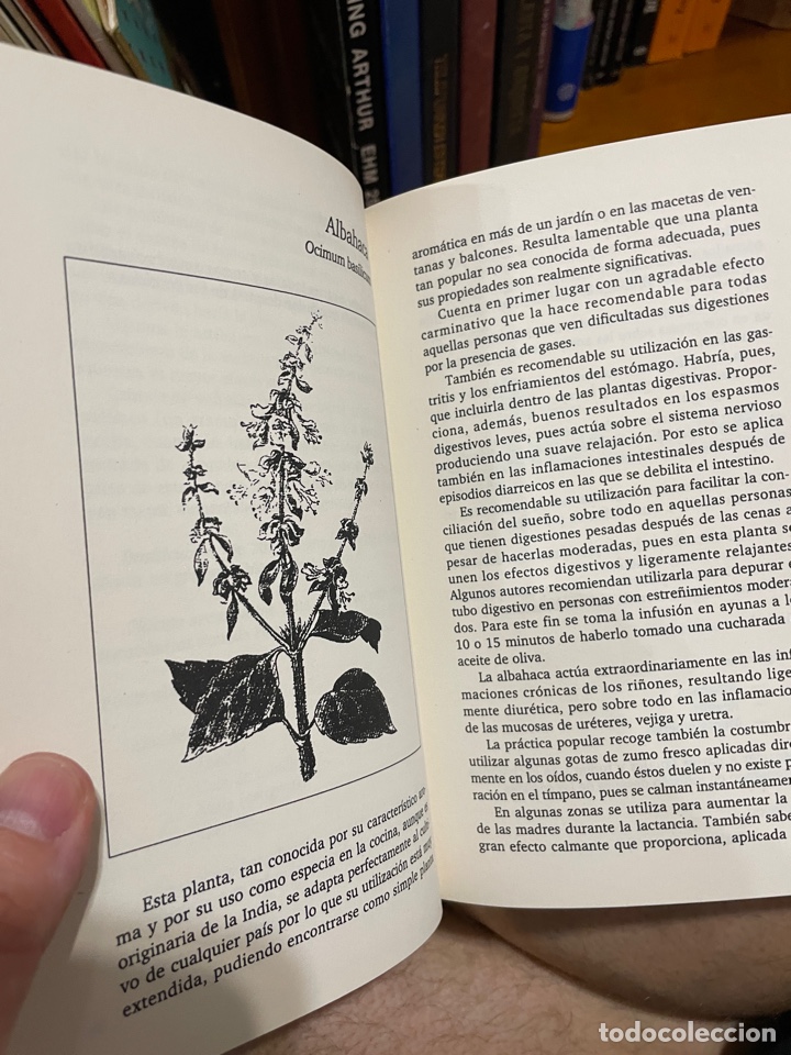 Libros de segunda mano: Plantas medicinales (Alfredo Ara) - Foto 4