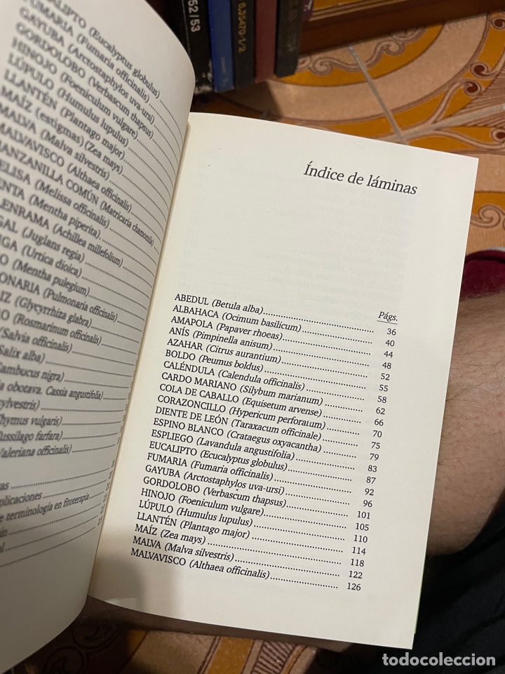 Libros de segunda mano: Plantas medicinales (Alfredo Ara) - Foto 5