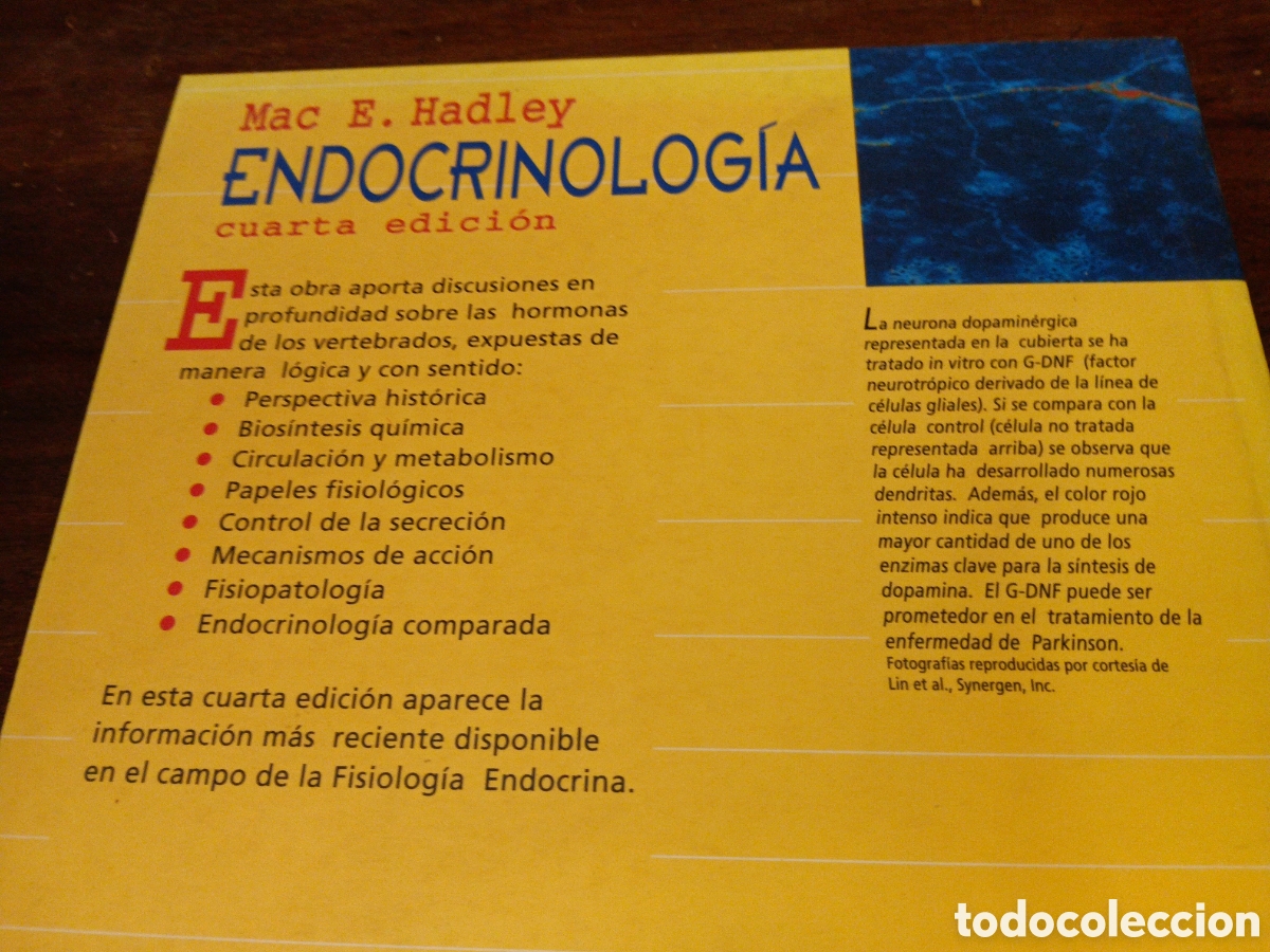 Libros de segunda mano: ENDOCRINOLOG&Iacute;A. E. HADLEY, MAC. PRENTICE HALL. 1996 - Foto 2