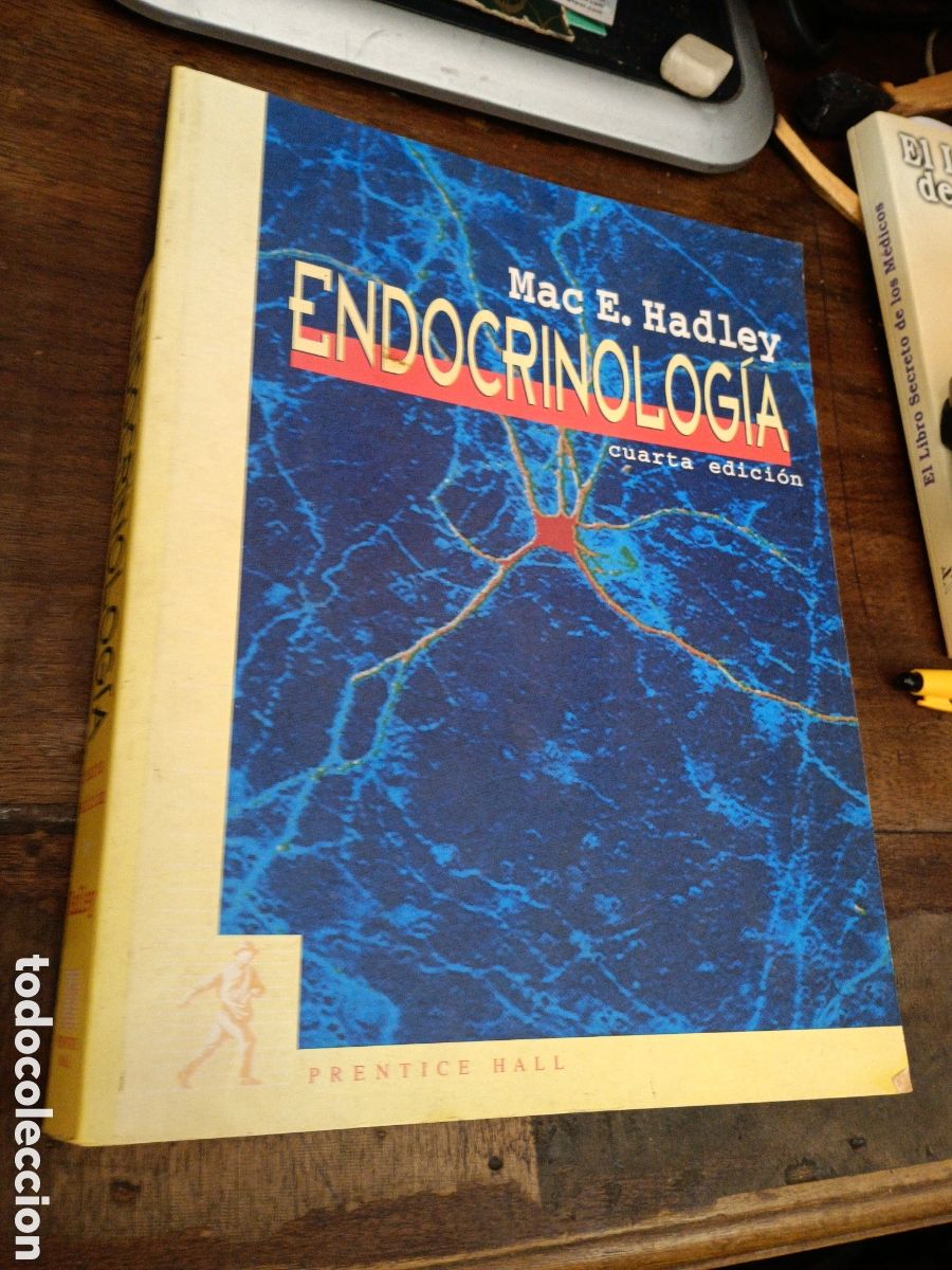 Libros de segunda mano: ENDOCRINOLOG&Iacute;A. E. HADLEY, MAC. PRENTICE HALL. 1996 - Foto 1