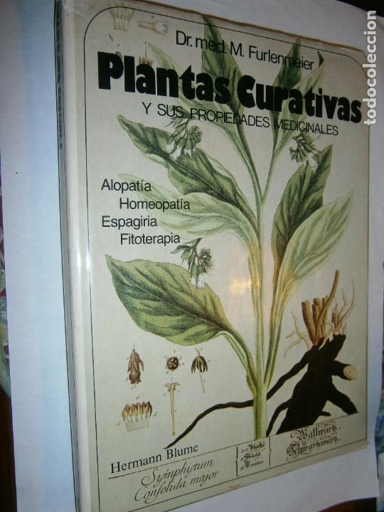 Gebrauchte B&uuml;cher: ANTIGUO LIBRO - PLANTAS CURATIVAS Y SUS PROPIEDADES MEDICINALES - CG9