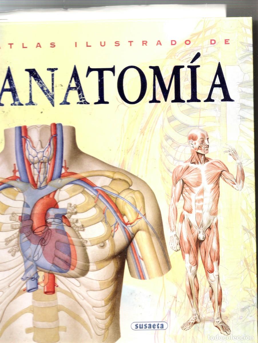 Libros de segunda mano: ATLAS ILUSTRADO DE ANATOM&Iacute;A - Foto 1