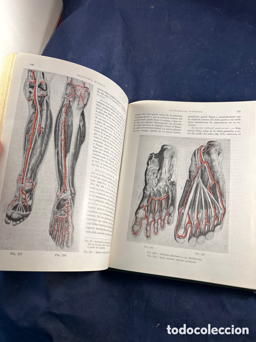 Libros de segunda mano: ANATOM&Iacute;A HUMANA 1969 - Foto 2