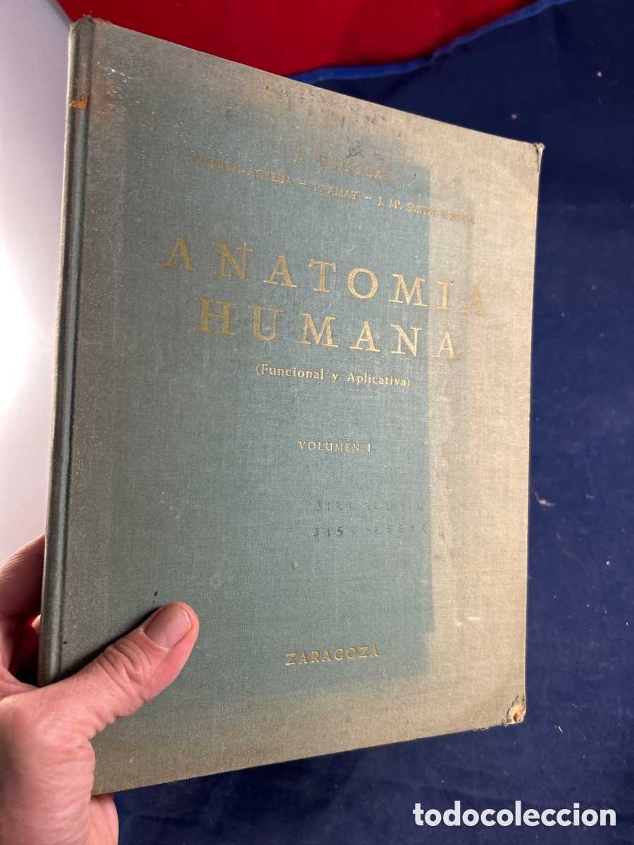 Libros de segunda mano: ANATOM&Iacute;A HUMANA 1969 - Foto 3